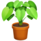 Potted Plant emoji on Facebook